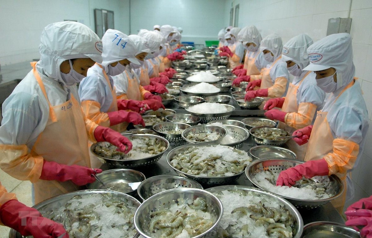 Trung Quốc, Mỹ mua nhiều tôm nhất của Việt Nam, xuất khẩu thủy sản &quot;bứt tốc&quot; cuối năm - Ảnh 1.