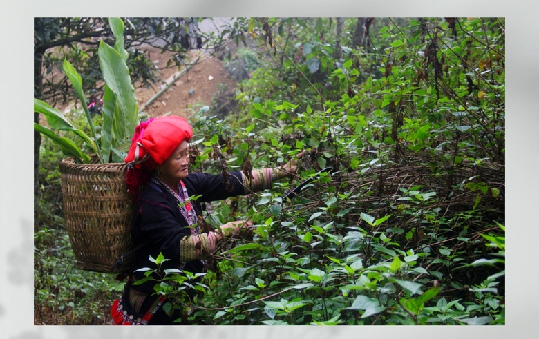 Một hang động nằm sâu trong lòng ngọn núi cao ở Sa Pa của Lào Cai có gì huyền ảo mà người ta muốn xem? - Ảnh 9.