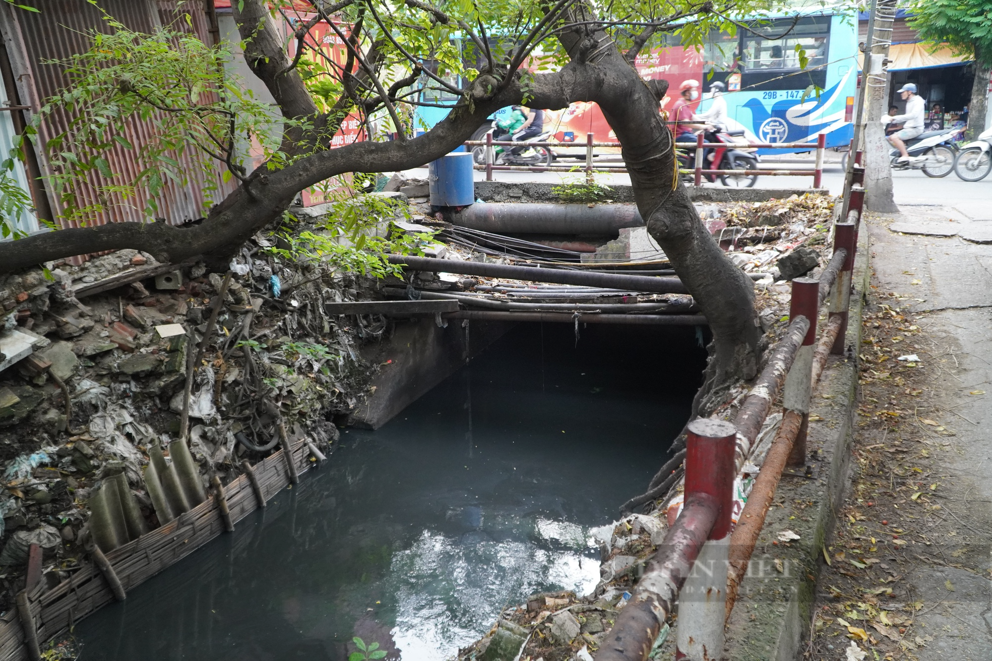 Sống khổ sở bên cạnh con kênh ô nhiễm suốt nhiều năm ở quận Hoàng Mai - Ảnh 8.