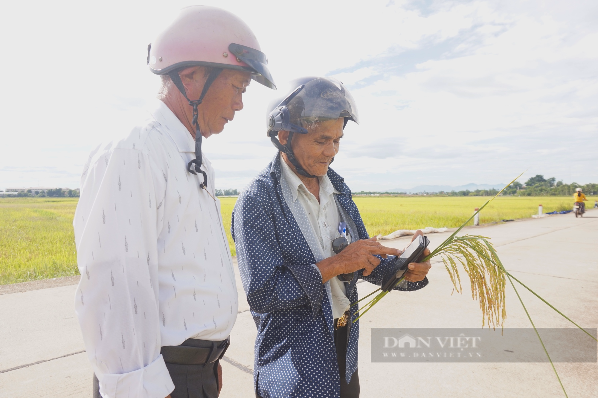 Nông dân Đà Nẵng mê tít bộ đôi giống lúa năng suất, chất lượng của Vinaseed, chống chịu được thời tiết khắc nghiệt - Ảnh 4.