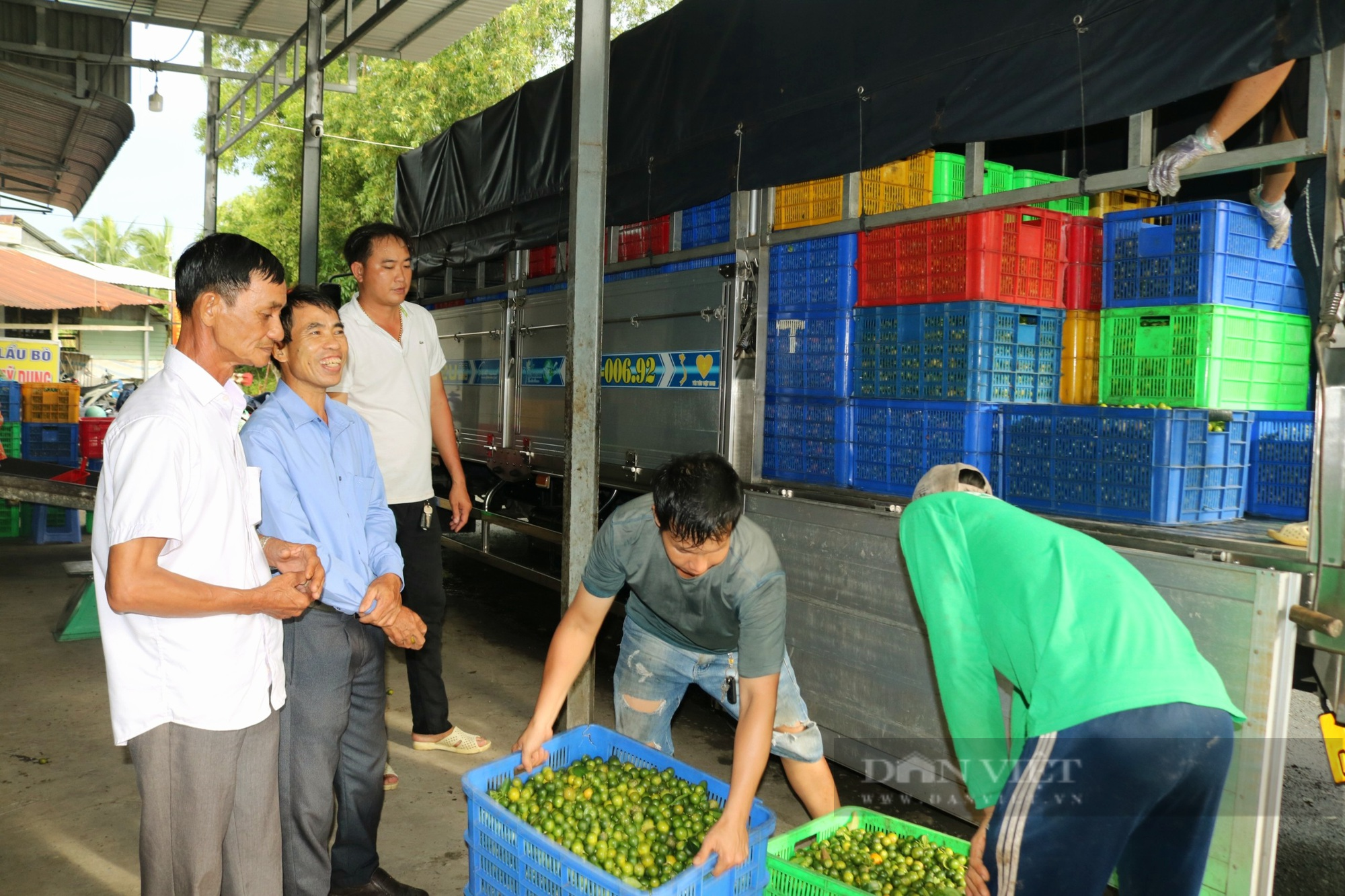 Nông dân Việt Nam xuất sắc đến từ Cần Thơ là &quot;Vua&quot; xử lý nhãn cho trái nghịch mùa - Ảnh 7.