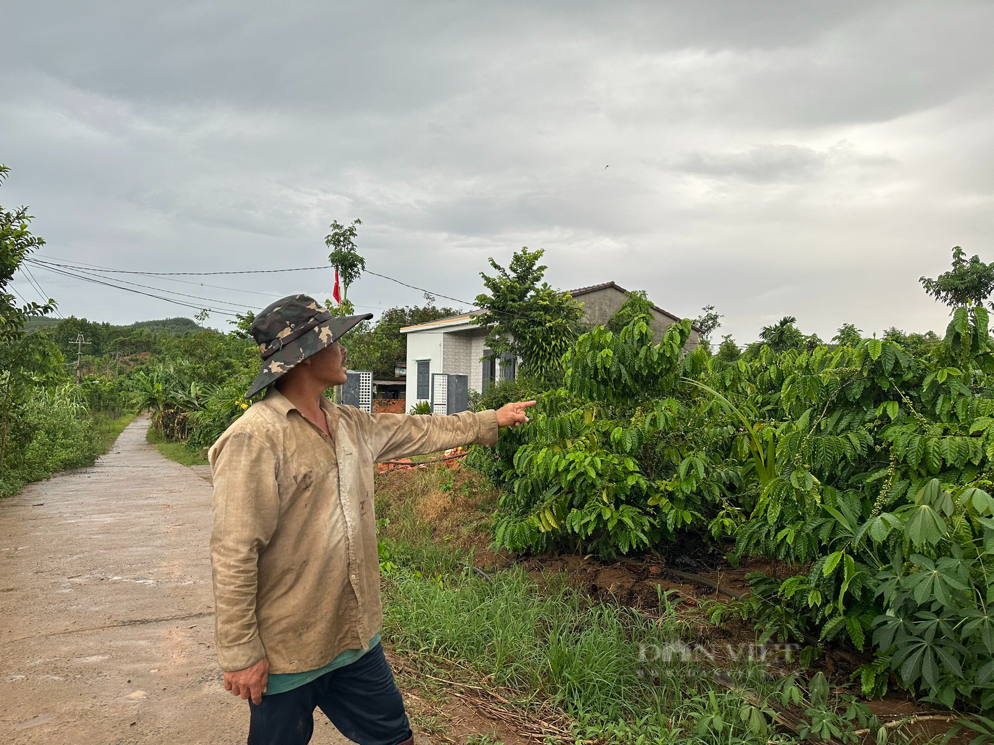 Nghịch lý giá đất nội thôn ở tỉnh Đắk Nông đắt hơn khu vực tỉnh lộ - Ảnh 1.