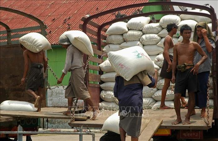 Myanmar có thể hạn chế xuất khẩu gạo - Ảnh 1.