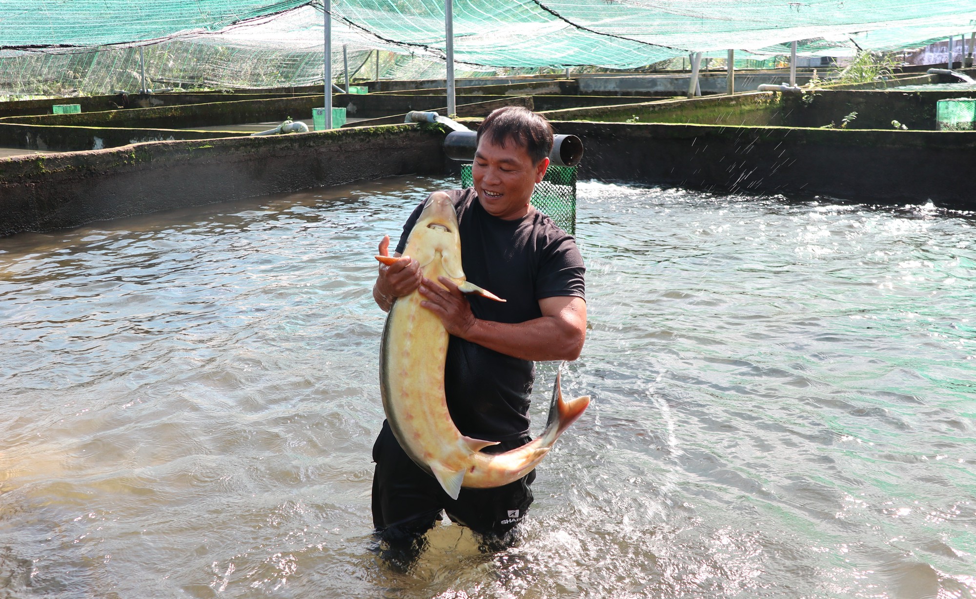 Phát triển nông nghiệp hữu cơ, tuần hoàn phải đảm bảo 4 nguyên tắc - Ảnh 2.