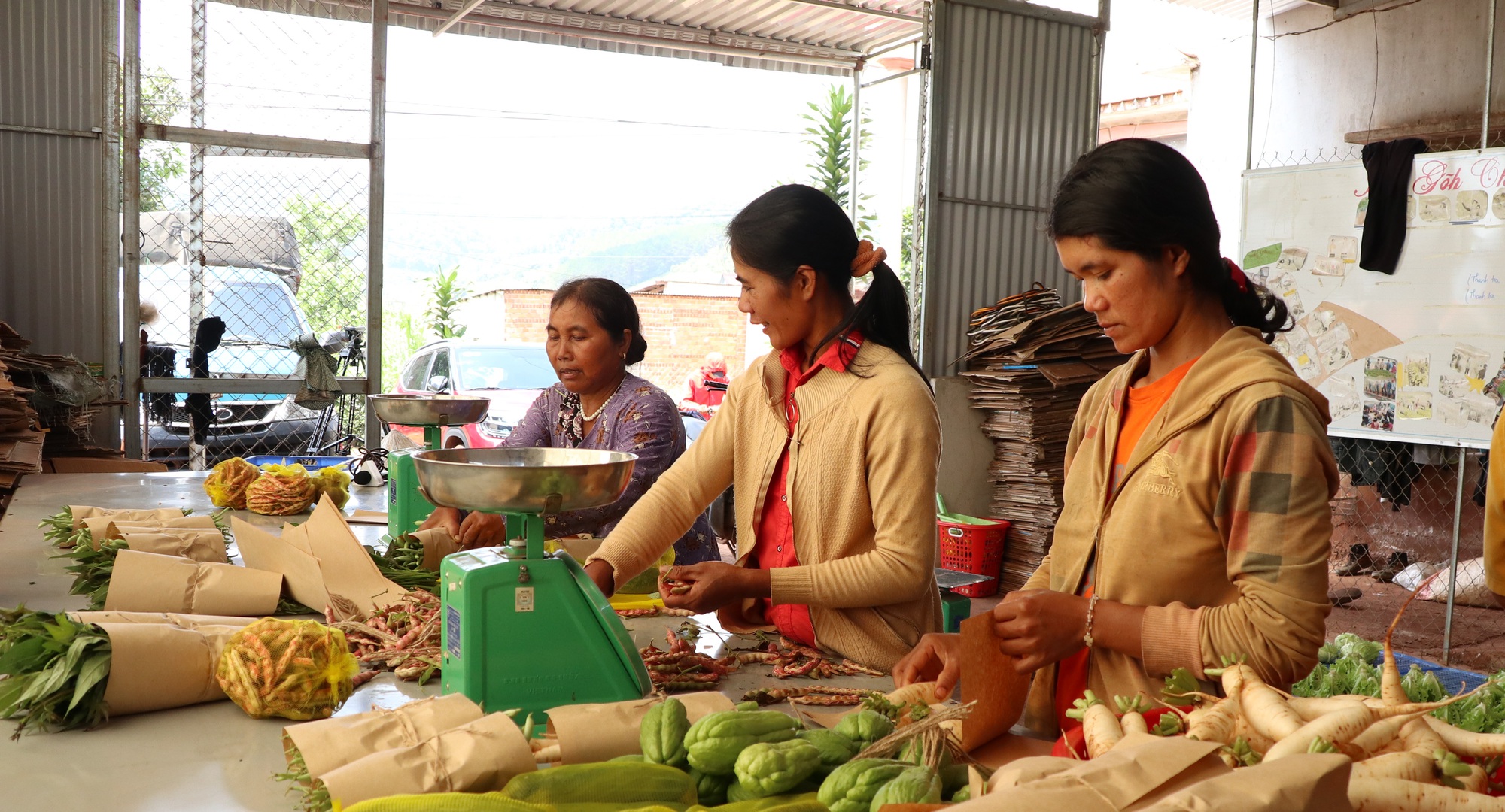 Phát triển nông nghiệp hữu cơ, tuần hoàn phải đảm bảo 4 nguyên tắc - Ảnh 7.