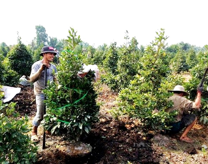 Giữ làng nghề, ngành nghề để phát triển kinh tế, văn hóa nông thôn - Ảnh 3.