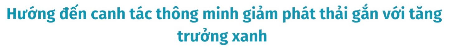 Nâng cao nhận thức về môi trường và thúc đẩy chủ động hành động để bảo vệ hành tinh xanh - Ảnh 5.