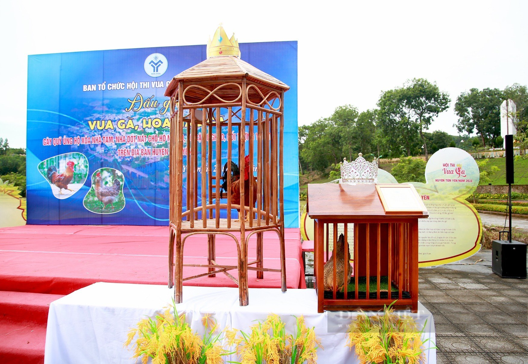 Vua gà, Hoa hậu gà ở Quảng Ninh lên sàn đấu giá, gây quỹ ủng hộ xóa nhà tạm cho người nghèo - Ảnh 1.