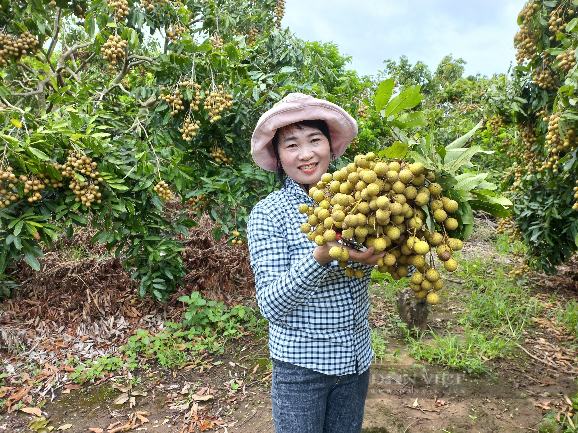 Thu tiền tỷ từ trồng cây ăn trái, nữ nông dân ở Gia Lai được công nhận &quot;Nông dân Việt Nam xuất sắc&quot; - Ảnh 2.