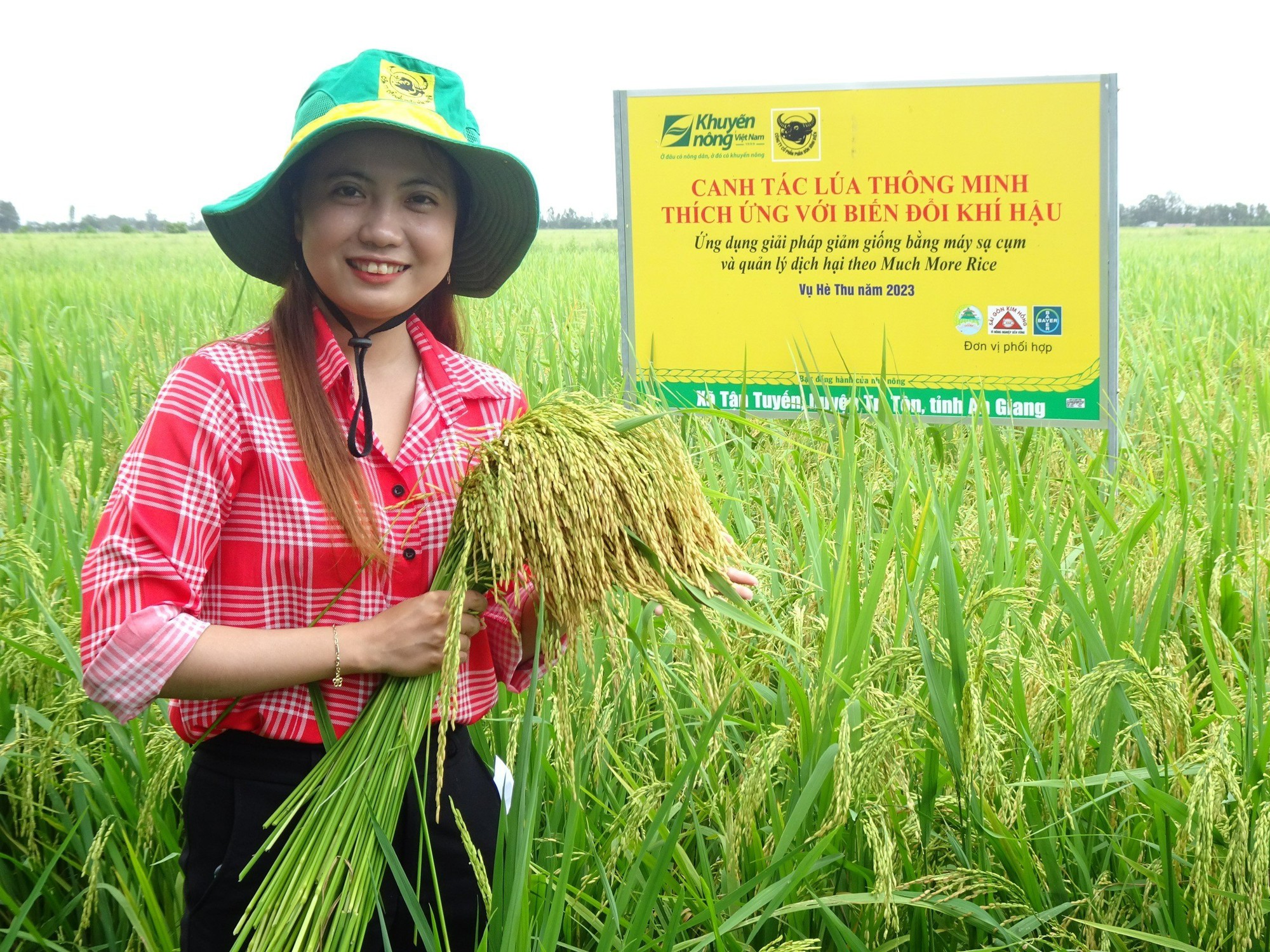 Nâng cao nhận thức về môi trường và thúc đẩy chủ động hành động để bảo vệ hành tinh xanh - Ảnh 2.