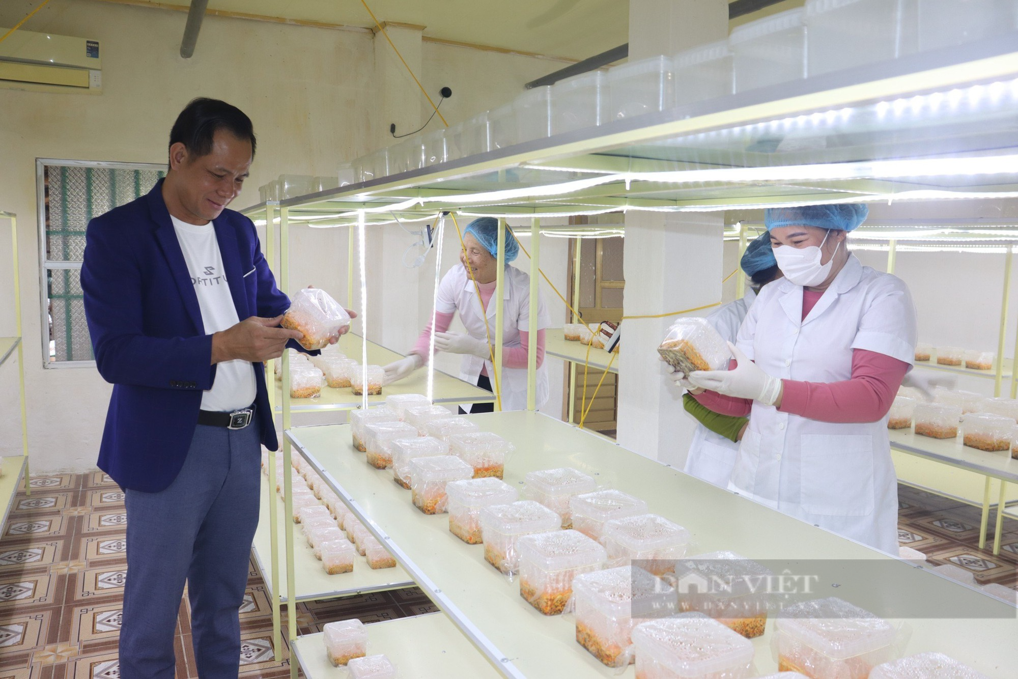 Sản xuất nấm sạch, Giám đốc HTX Dịch vụ Linh Phát ở Nam Định là Nông dân xuất sắc 2023 - Ảnh 5.