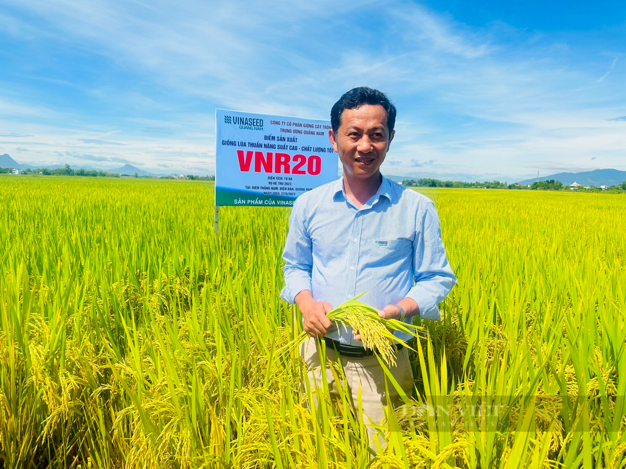 Bộ ba giống lúa cho năng suất cao, “chắc khỏe” của Vinaseed chiếm trọn niềm tin của nông dân Quảng Nam - Ảnh 1.