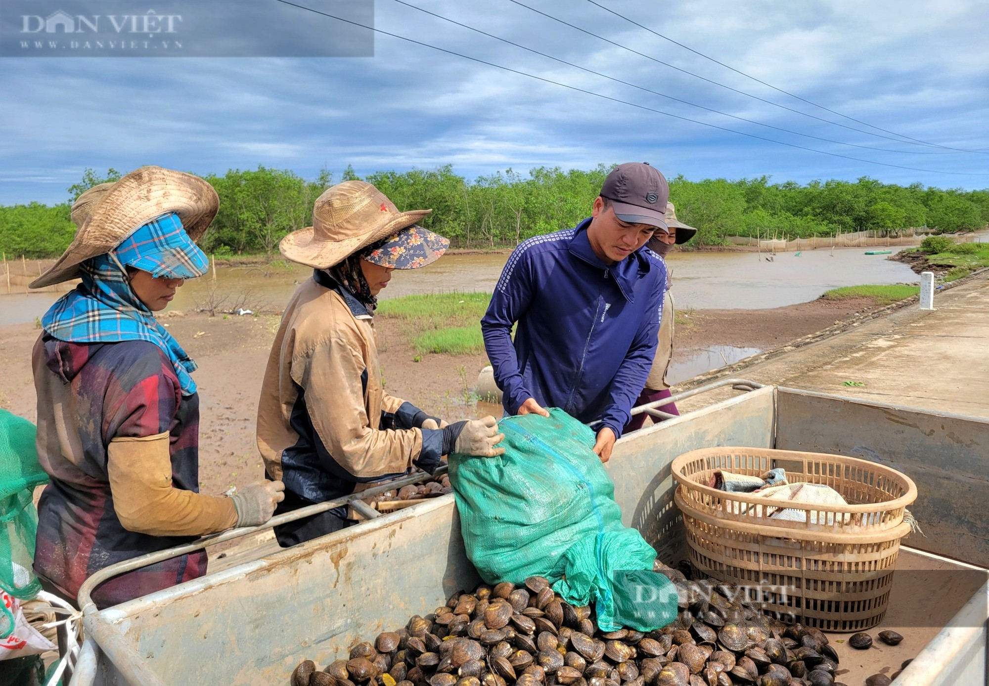 Thu nhập nửa triệu đồng mỗi ngày nhờ “săn” con ngao đất ở Ninh Bình - Ảnh 6.