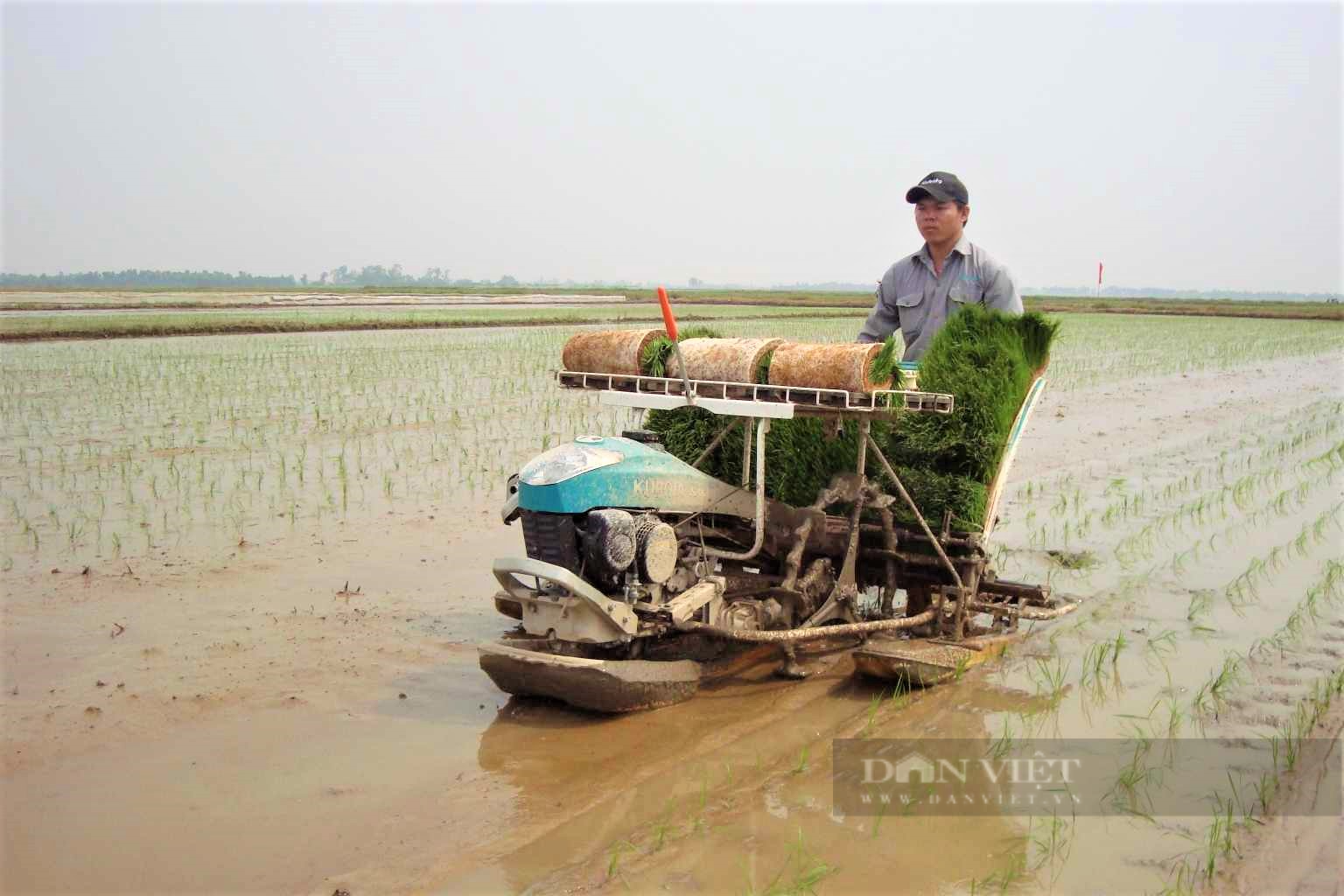 Hiệu quả hoạt động tổ vay vốn của Hội Nông dân Ninh Giang, giúp nông dân phát triển kinh tế, giảm nghèo, no đủ - Ảnh 5.