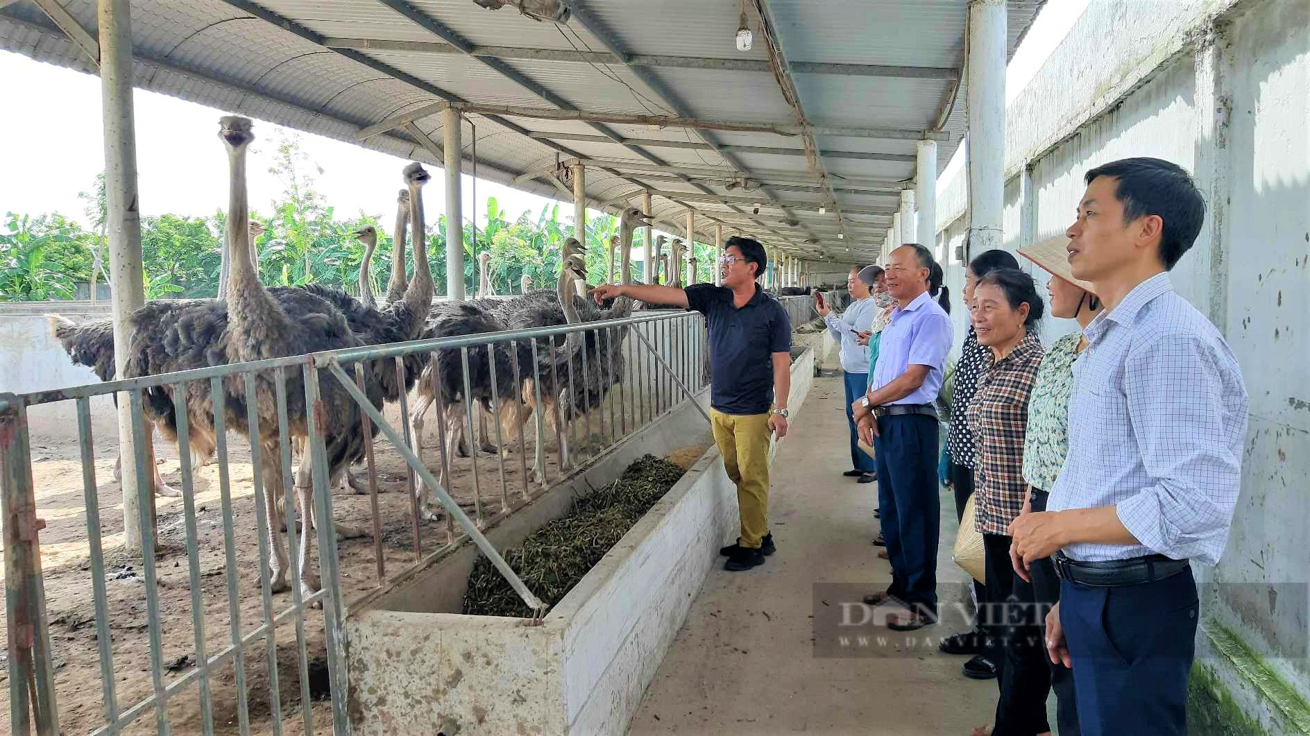 Hiệu quả hoạt động tổ vay vốn của Hội Nông dân Ninh Giang, giúp nông dân phát triển kinh tế, giảm nghèo, no đủ - Ảnh 3.