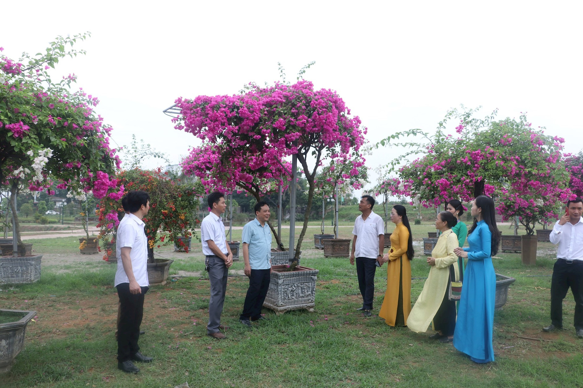 Công bố biểu trưng chính thức Đại hội Đại biểu Hội Nông dân TP Hà Nội, lần thứ X, nhiệm kỳ 2023-2028 - Ảnh 3.