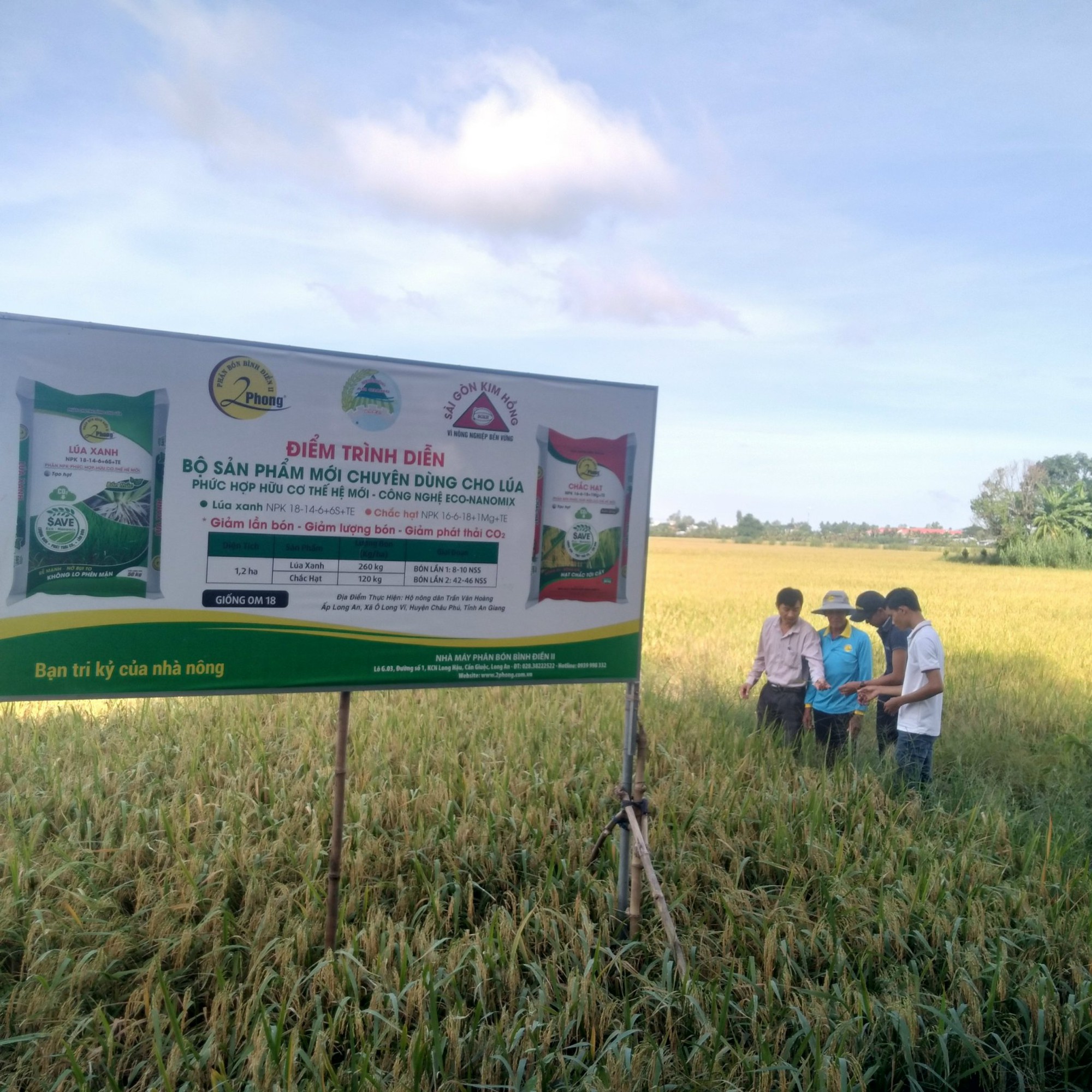An Giang: Độc đáo mô hình trồng lúa bón ít phân, sạ giống ít nhưng thu lãi cao hơn 4-6 triệu đồng/ha - Ảnh 1.