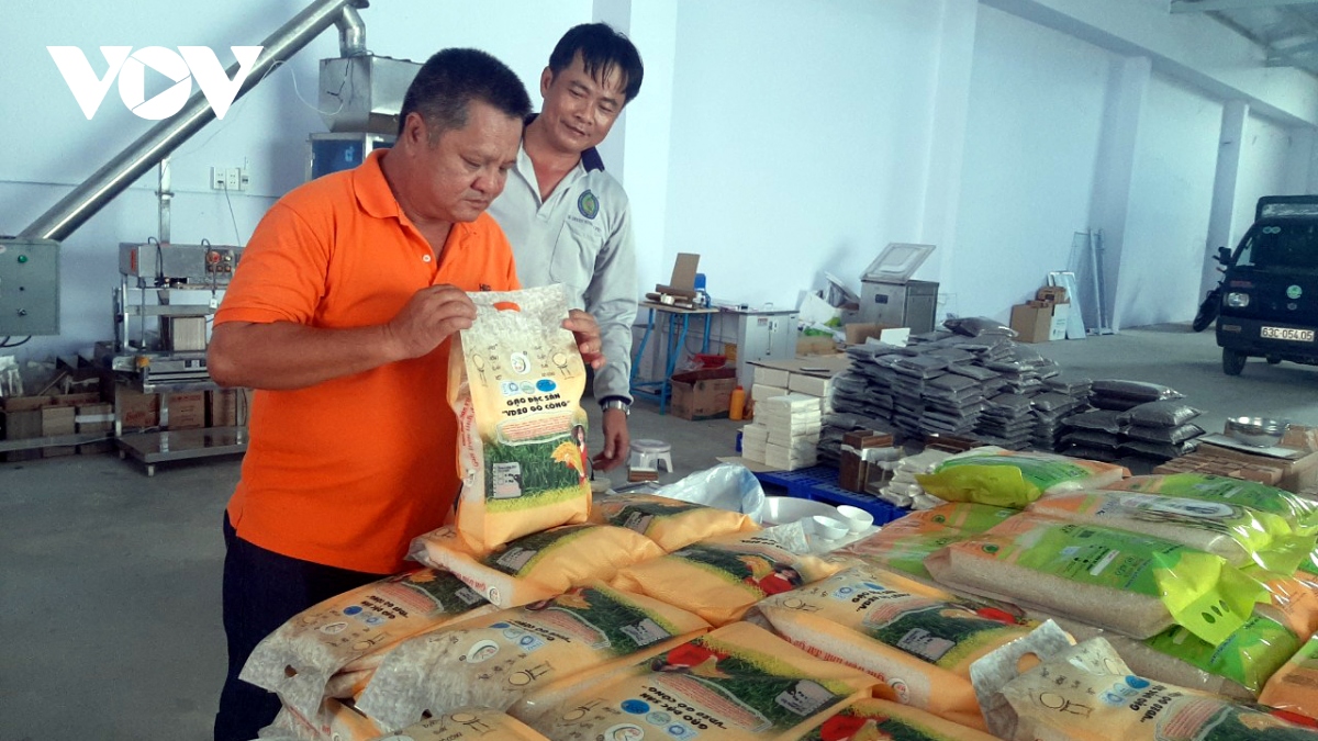 Giá lúa vụ Hè Thu ở Tiền Giang tăng gần 2.000 đồng/kg, nông dân phấn khởi thu hoạch - Ảnh 2.