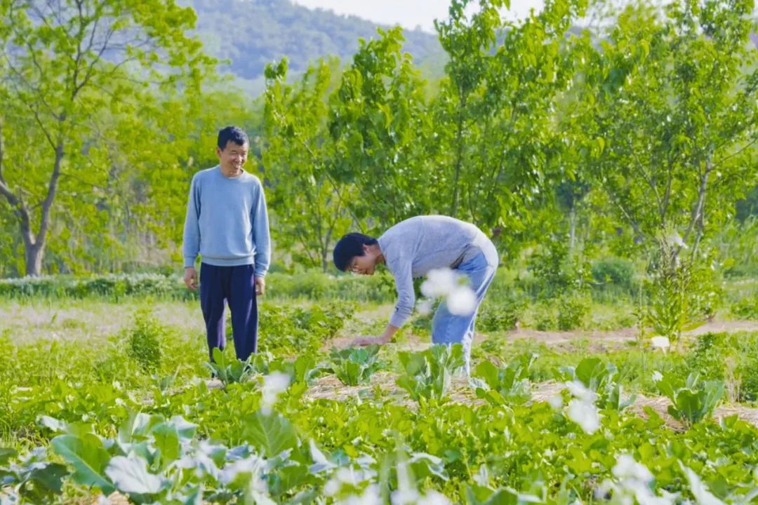 Người đàn ông quyết định tận hưởng &quot;tuổi già&quot; khi bỏ phố về sống cuộc đời bình dị bên ruộng vườn rộng hơn 800m² - Ảnh 9.