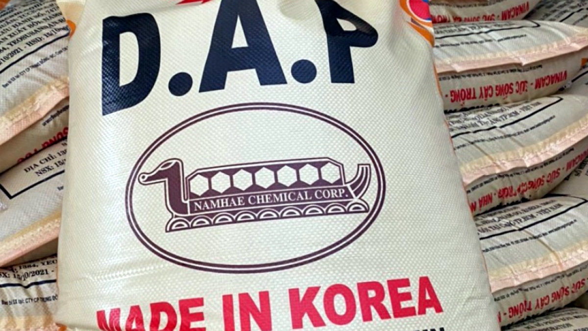 Nhập khẩu phân DAP từ Hàn Quốc diễn ra bình thường - Ảnh 1.