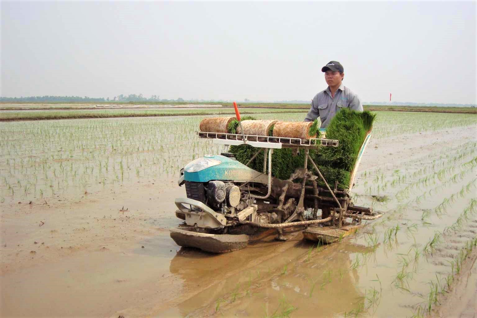Hiệu quả hoạt động tổ vay vốn của Hội Nông dân Ninh Giang, giúp nông dân phát triển kinh tế, giảm nghèo, no đủ - Ảnh 2.