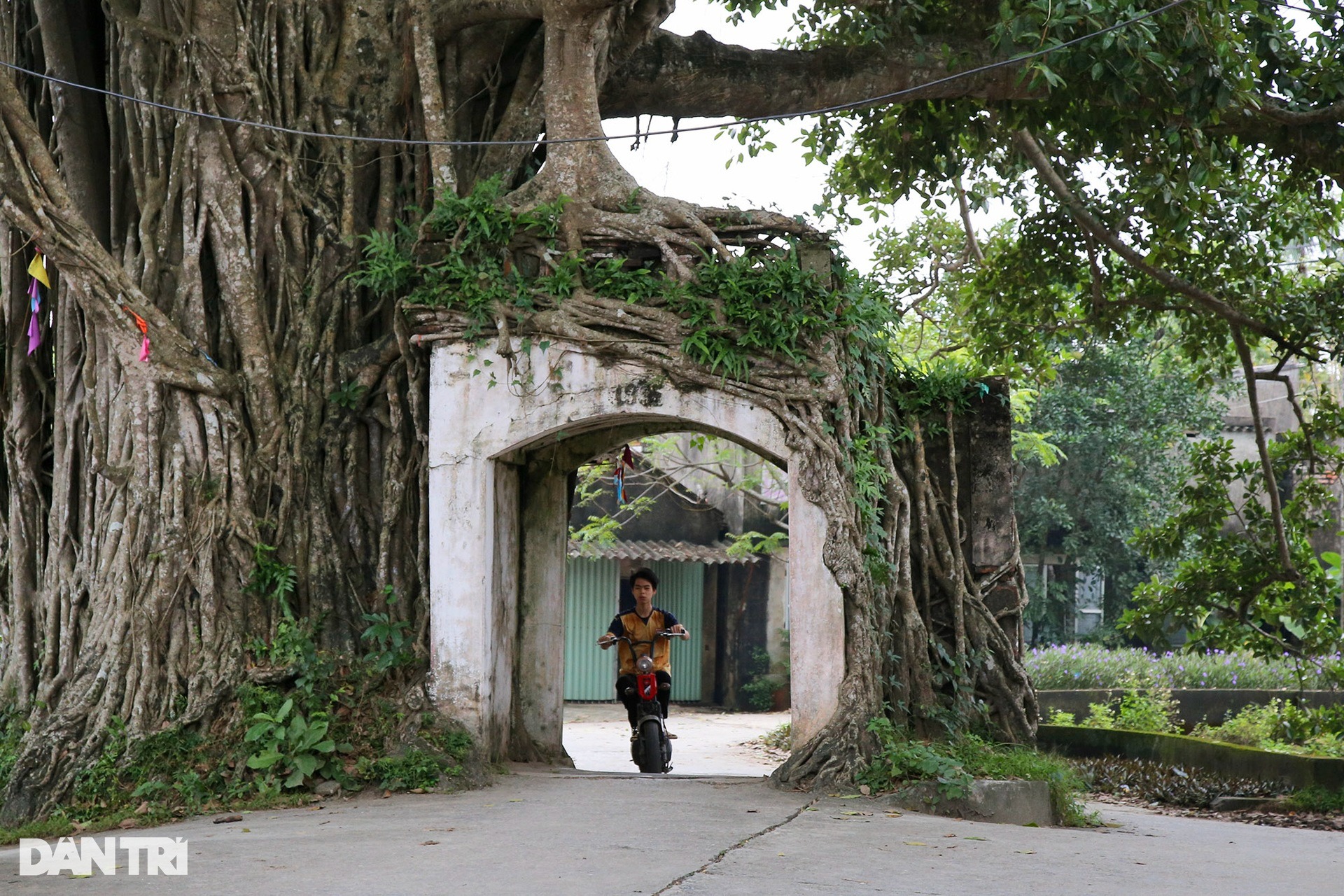 Toàn cảnh làng ở ngoại thành Hà Nội chật chội như trong phố - Ảnh 12.