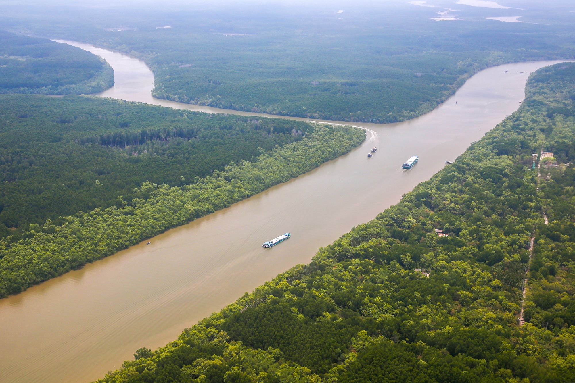 Rừng Cần Giờ dư sức thành Ramsar - Ảnh 1.