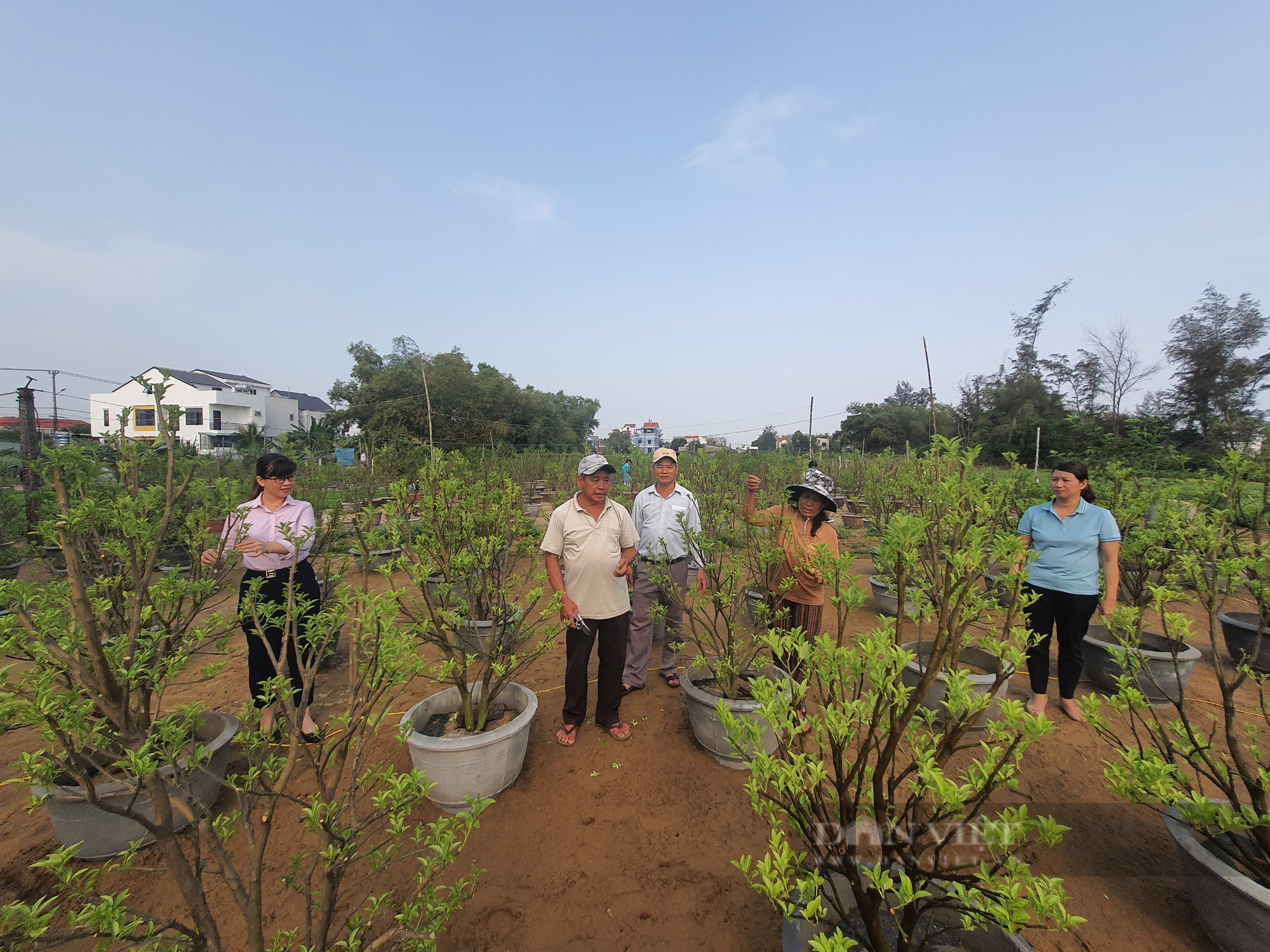 Tín dụng chính sách: “Trụ cột” quan trọng trên hành trình giảm nghèo của nông dân Quảng Nam - Ảnh 5.