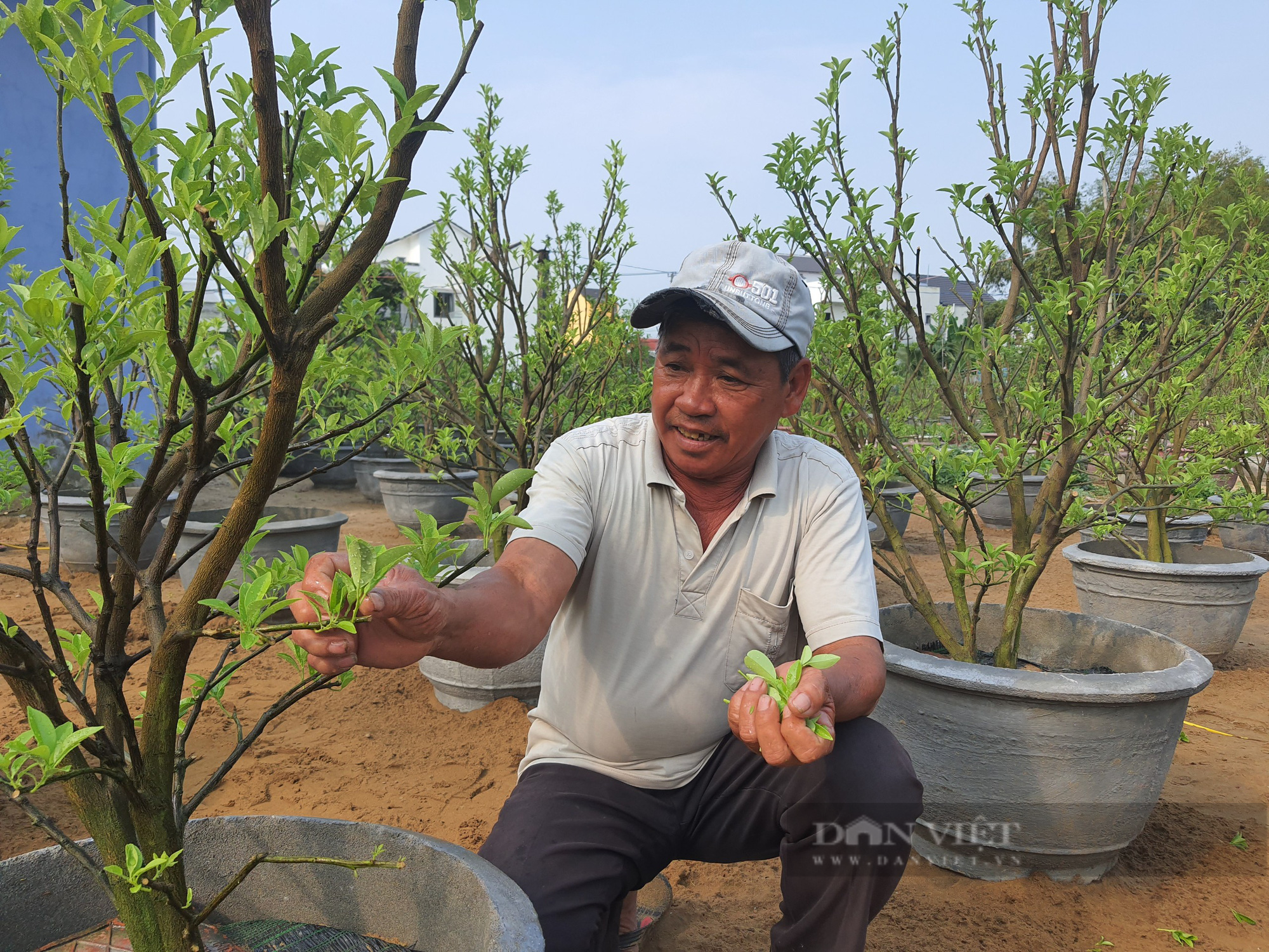 Tín dụng chính sách: “Trụ cột” quan trọng trên hành trình giảm nghèo của nông dân Quảng Nam - Ảnh 6.