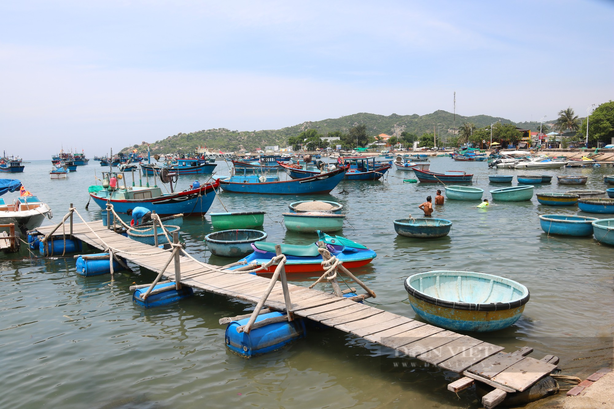 Điều tra vụ tai nạn làm 6 du khách bị thương trên vịnh Vĩnh Hy ở Ninh Thuận - Ảnh 3.