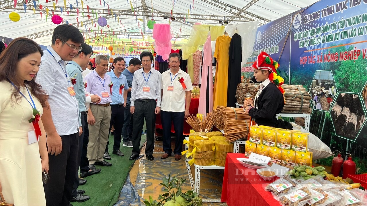 Hội chợ chuyên biệt vùng đồng bào DTTS & MN lần đầu tiên được tổ chức tại Lào Cai - Ảnh 2.