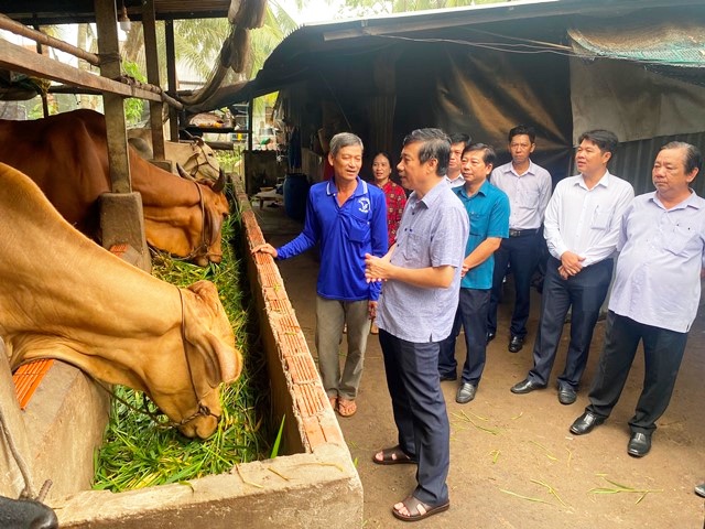 Hội Nông dân Đồng Tháp xây dựng loạt chương trình, mô hình hay, giúp nhiều người thoát nghèo, làm giàu - Ảnh 1.