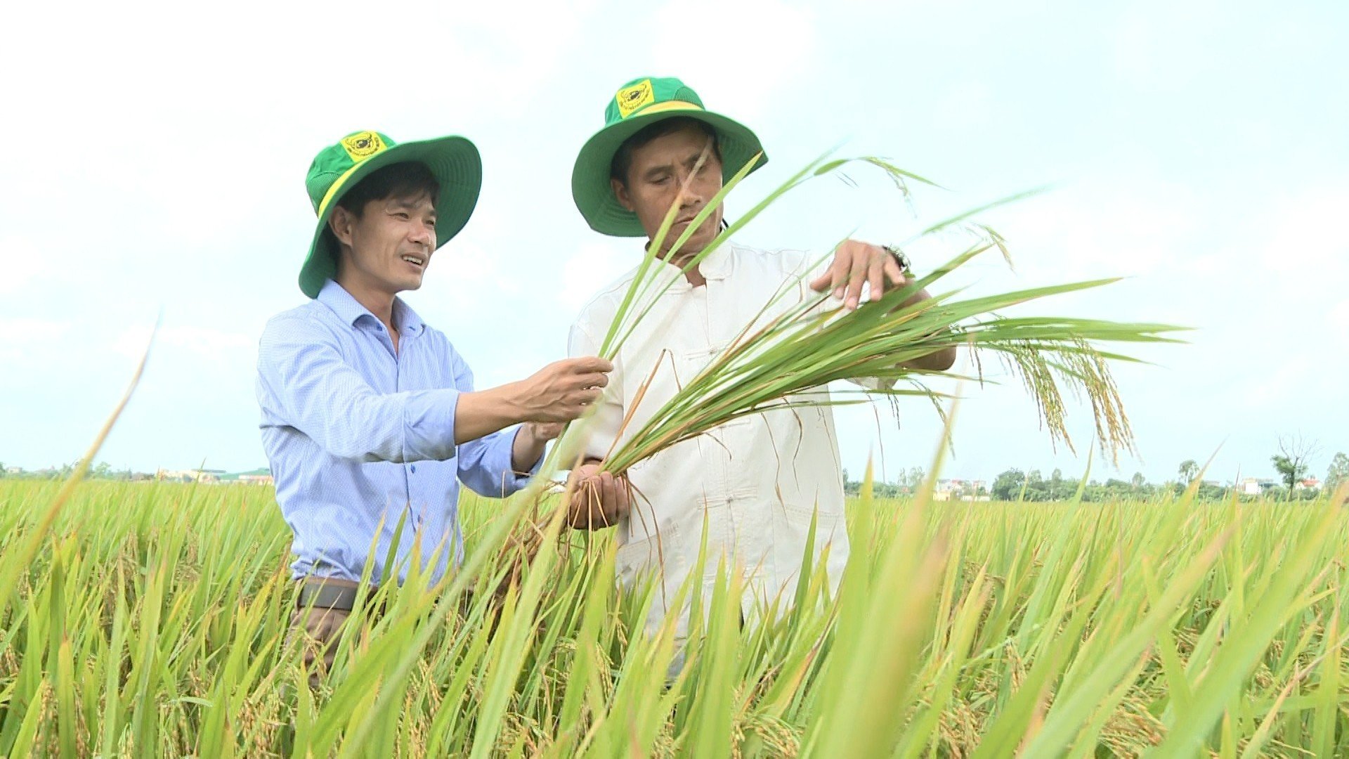 Nâng cao nhận thức về môi trường và thúc đẩy chủ động hành động để bảo vệ hành tinh xanh - Ảnh 8.