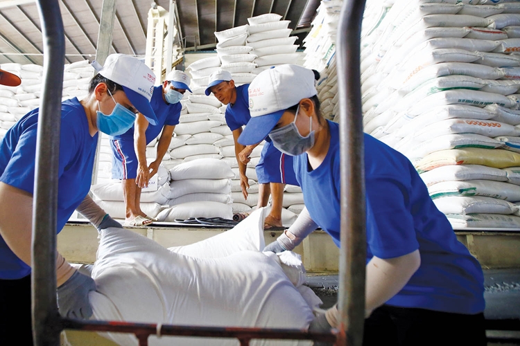Giá gạo vẫn tăng nóng, gạo xuất khẩu Việt Nam tiếp tục lập kỷ lục mới - Ảnh 1.