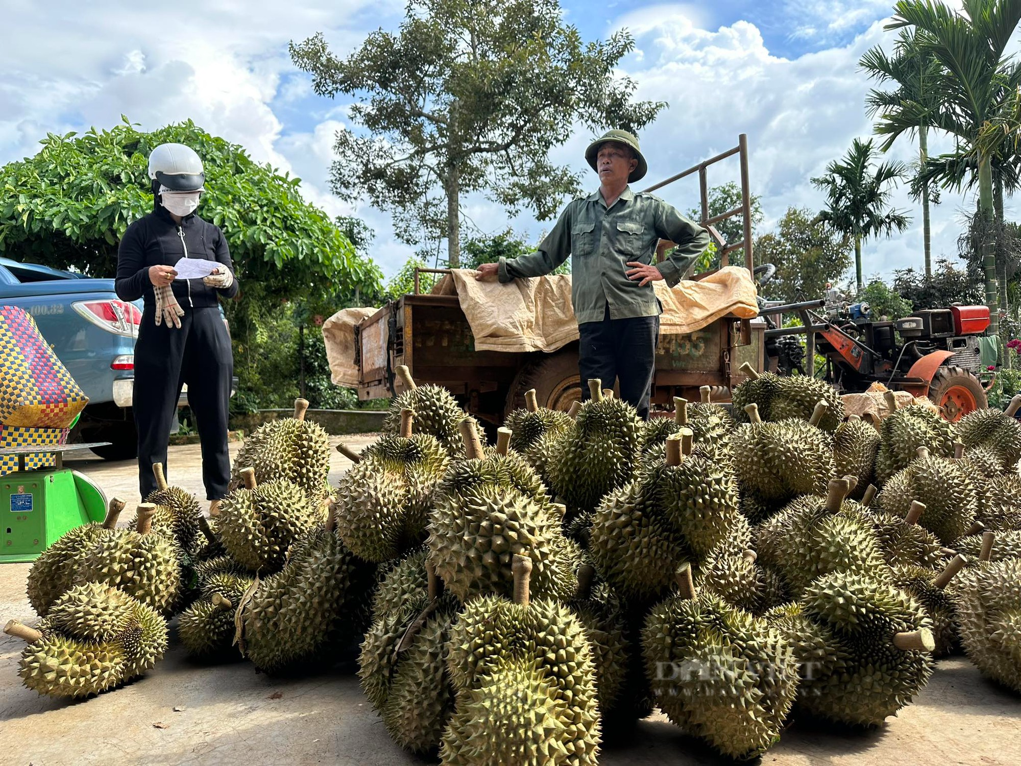 Giá sầu riêng 29/8: Giá sầu riêng rất không ổn định, doanh nghiệp lo ngay ngáy dù xuất khẩu tốt - Ảnh 1.