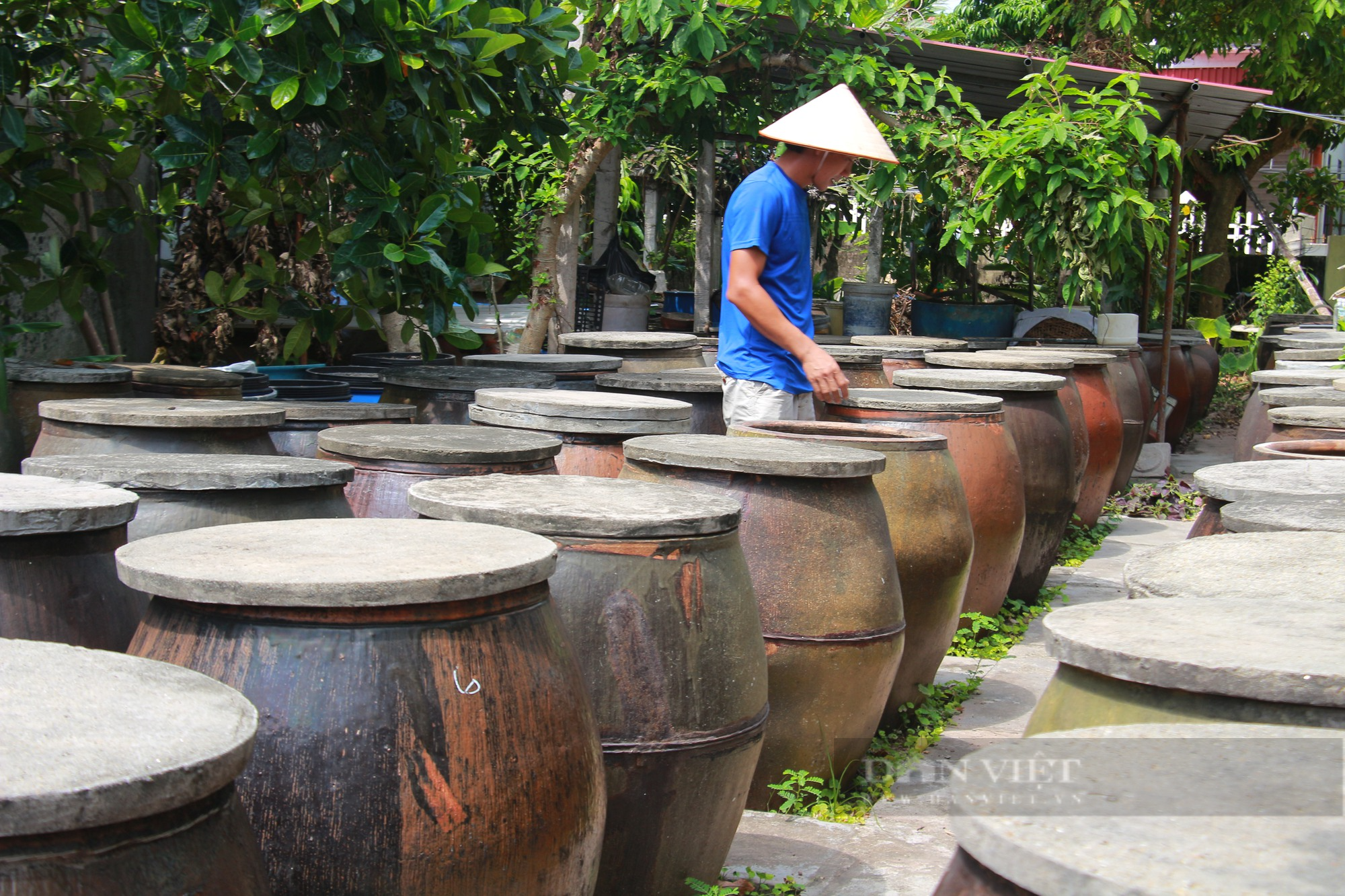 Nước mắm Sa Châu ở Nam Định có gì đặc biệt mà được chọn vào Top 100 đặc sản quà tặng Việt Nam - Ảnh 7.