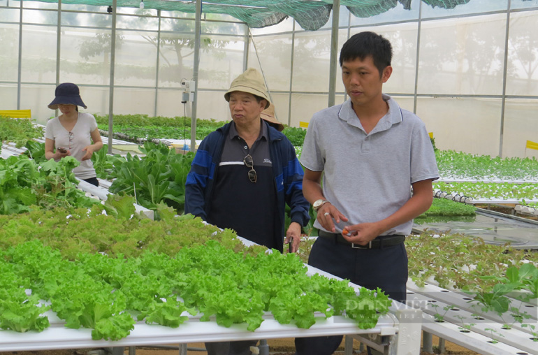 Phú Yên tập trung phát triển du lịch nông nghiệp trong xây dựng nông thôn mới - Ảnh 2.