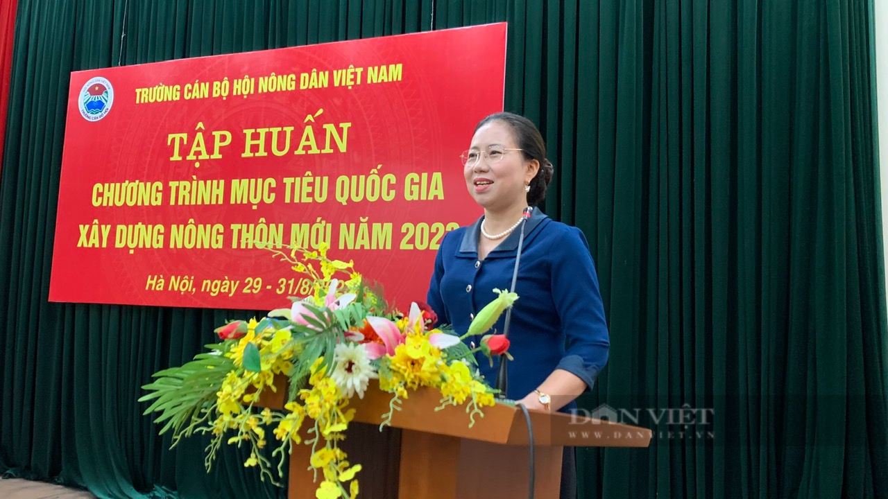 Trung ương Hội Nông dân Việt Nam tổ chức tập huấn Chương trình mục tiêu Quốc gia xây dựng nông thôn mới - Ảnh 1.