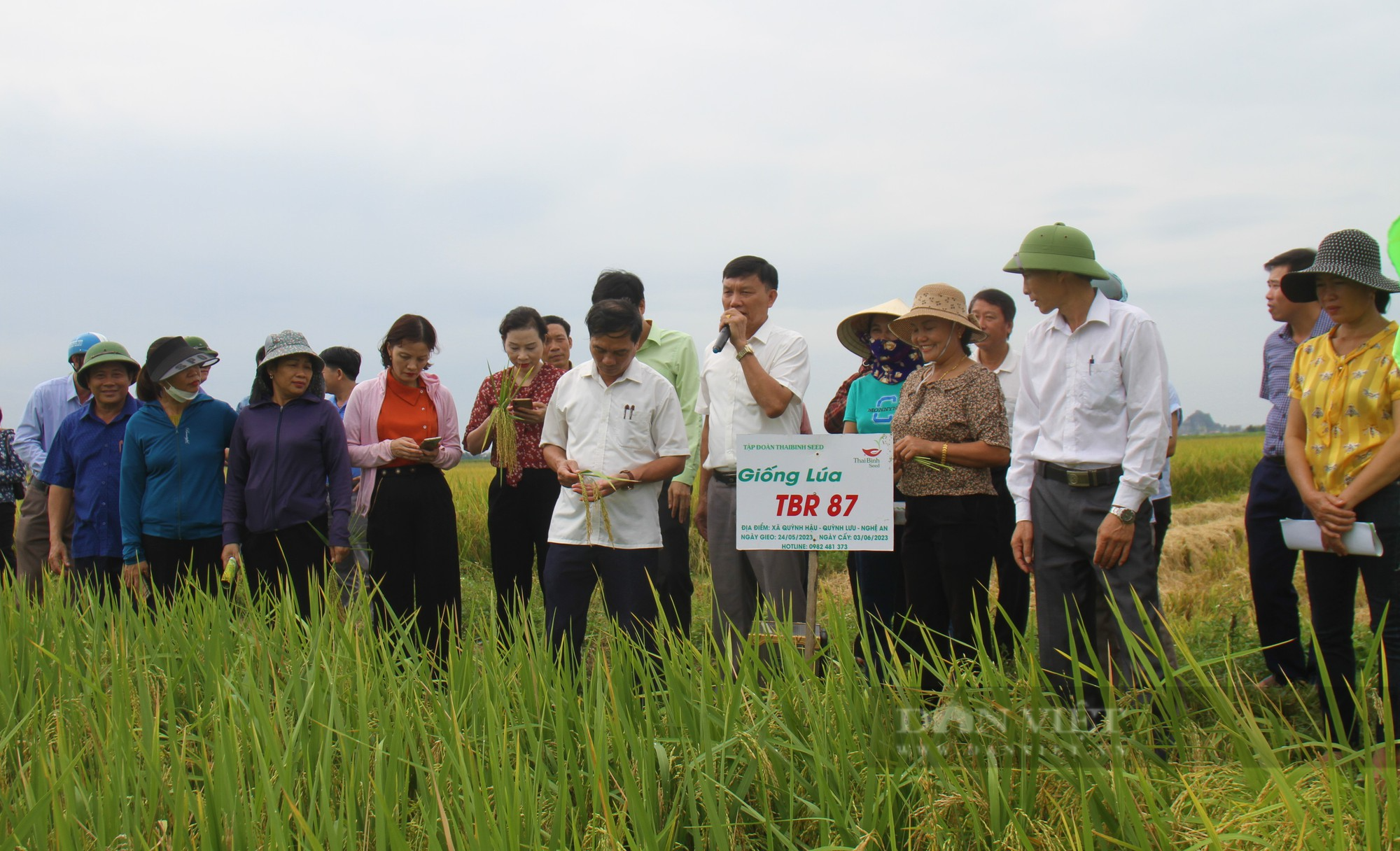 Bà con nông dân nơi này nô nức ra đồng ngắm những bông lúa TBR 87 dài, to, nặng trĩu của ThaiBinh Seed - Ảnh 7.