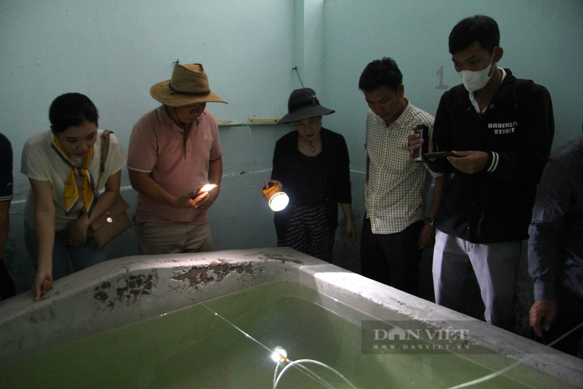 Ngư dân nuôi thành công mực sinh sản trong môi trường bán tự nhiên đầu tiên Việt Nam ở Ninh Thuận - Ảnh 8.