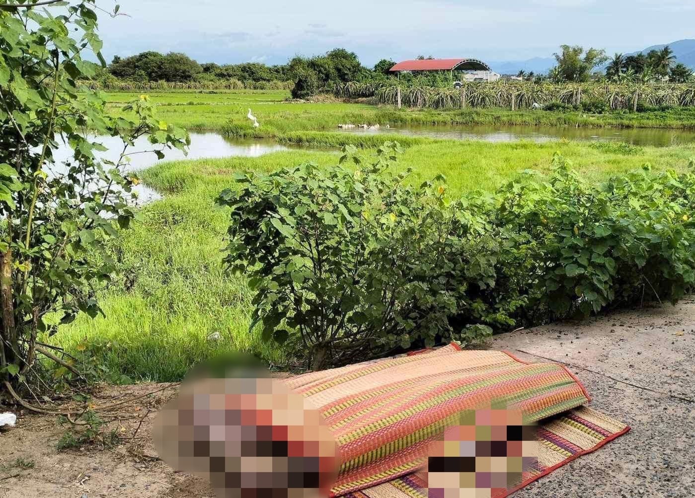 Hai chị em ruột tử vong thương tâm dưới hồ nước ở Bình Thuận - Ảnh 1.