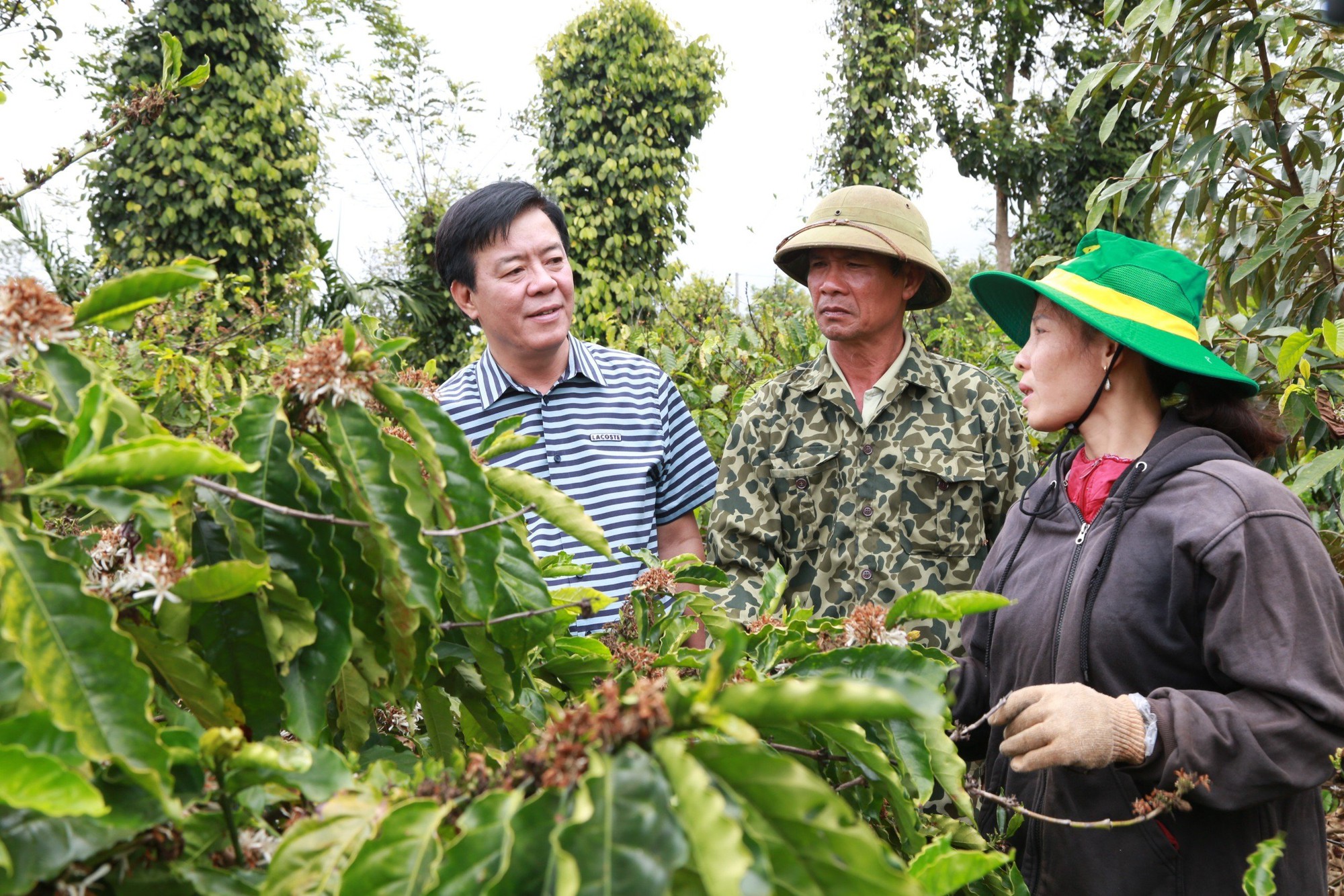 Công ty CP Phân bón Bình Điền: Cùng nông dân hành động bảo vệ hành tinh xanh - Ảnh 1.