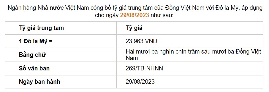 Tỷ giá USD hôm nay 29/8: Đồng USD trong nước thiết lập đà lên đỉnh - Ảnh 2.