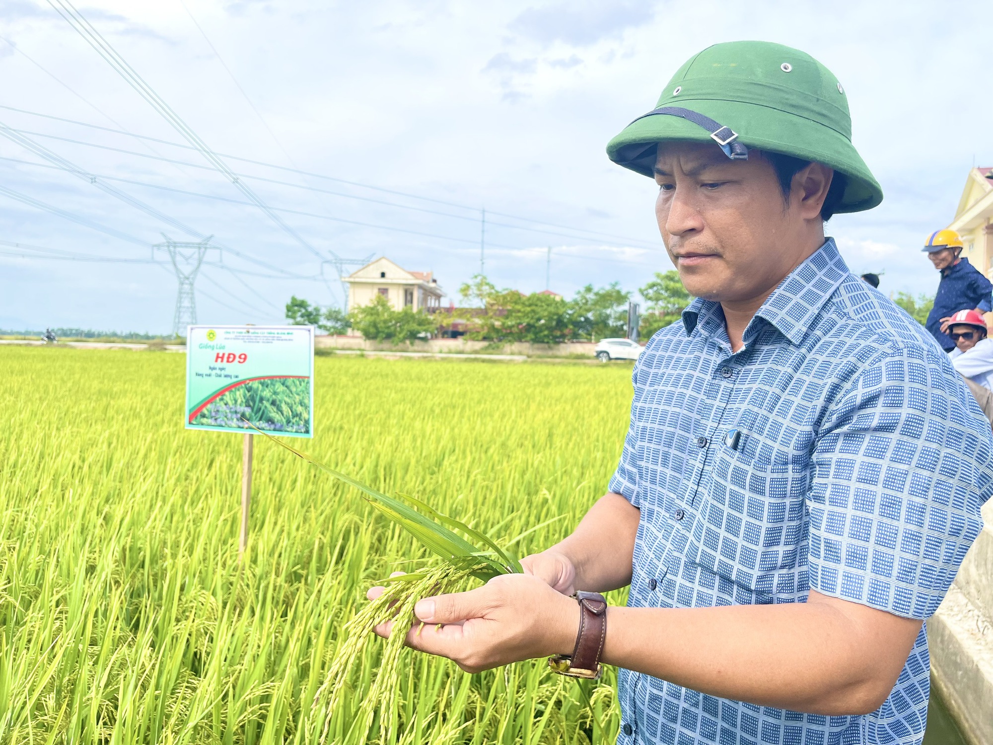 Quảng Bình: Dân trồng giống lúa mới này, thấy cây phát triển tốt, lúa trĩu bông, cho năng suất cao - Ảnh 4.