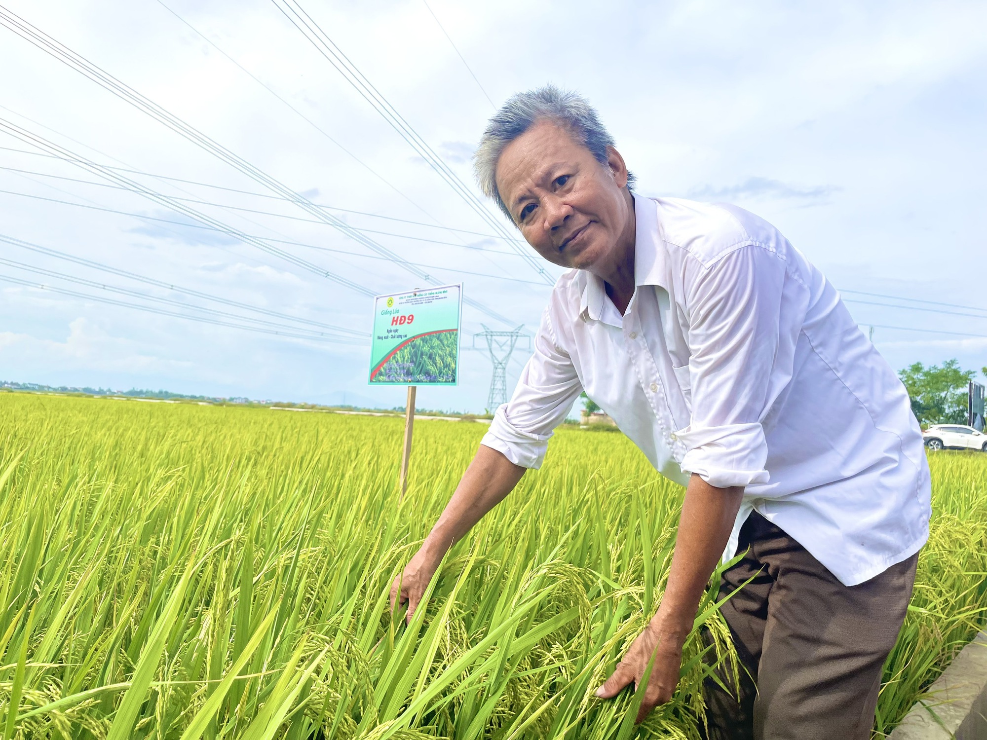 Quảng Bình: Dân trồng giống lúa mới này, thấy cây phát triển tốt, lúa trĩu bông, cho năng suất cao - Ảnh 3.