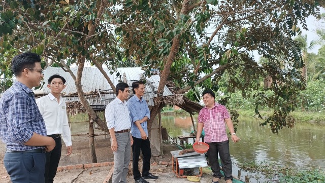 Nông dân huyện Hồng Dân ở Bạc Liêu có nhiều mô hình chăn nuôi mới giúp tăng thu nhập, vươn lên khá giả - Ảnh 3.