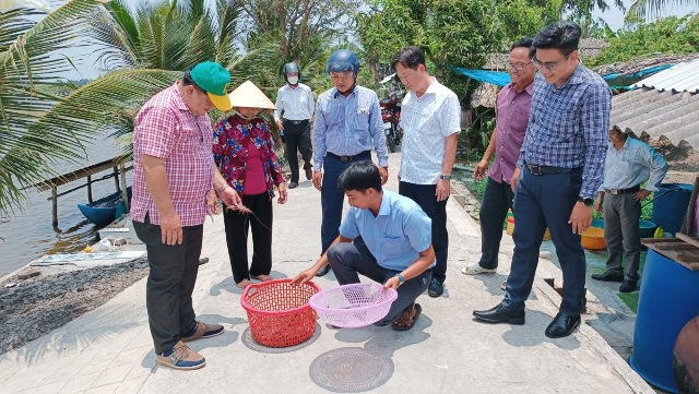 Nông dân huyện Hồng Dân ở Bạc Liêu có nhiều mô hình chăn nuôi mới giúp tăng thu nhập, vươn lên khá giả - Ảnh 1.