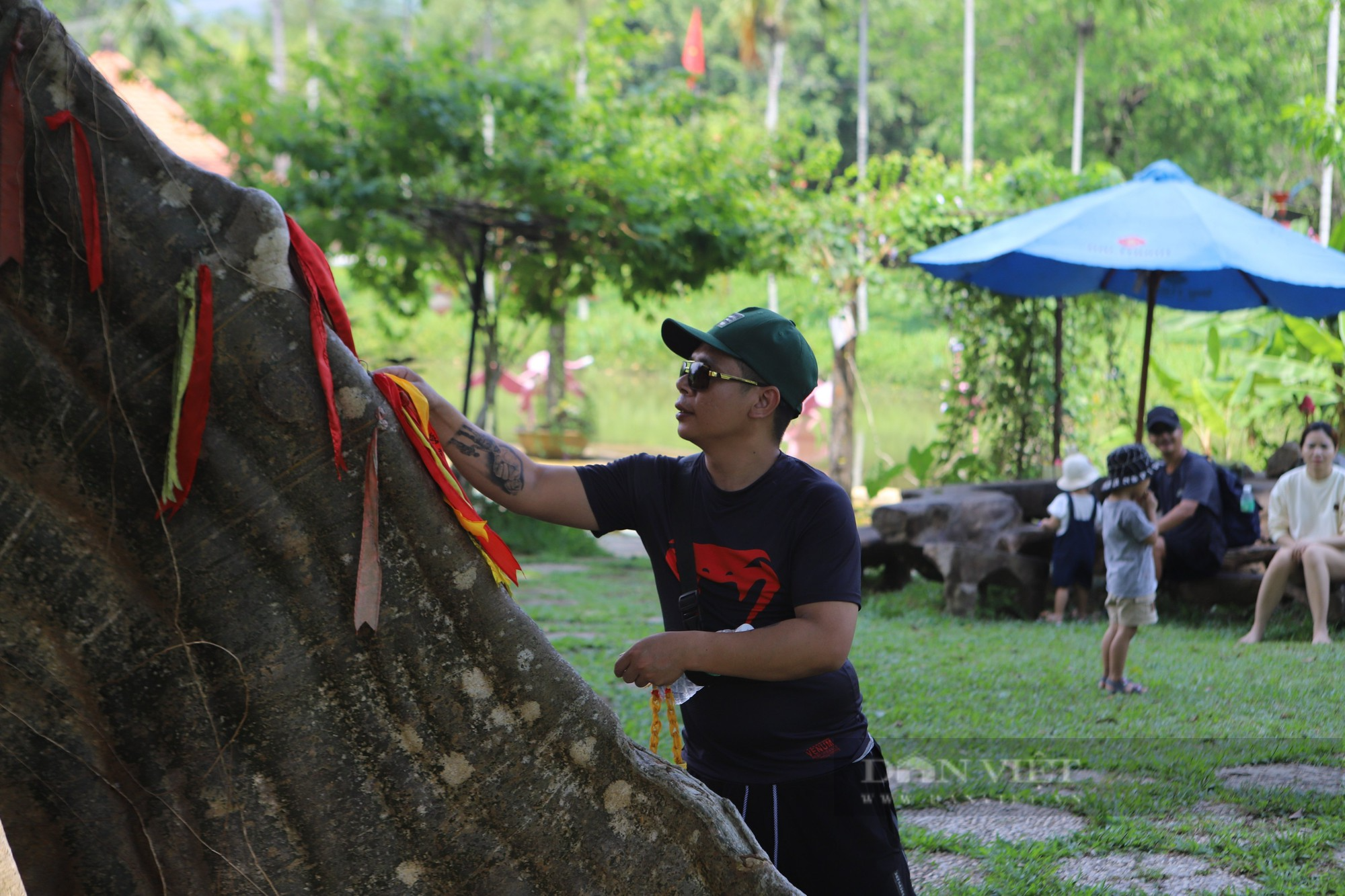 Cận cảnh cụ mộc thần sum suê hàng trăm năm tuổi ở huyện miền núi tỉnh Khánh Hòa - Ảnh 10.