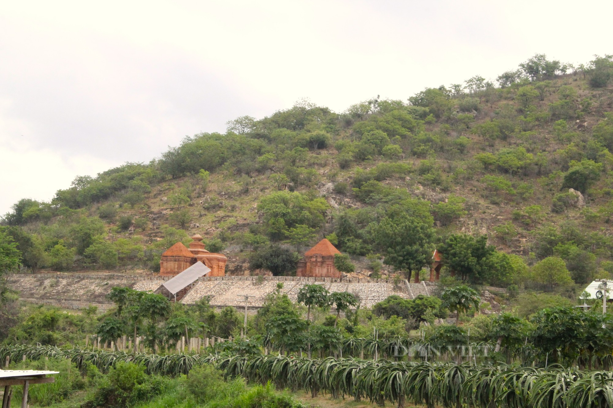 Bí ẩn của tháp Chăm Po Dam dưới chân núi Ka-đá ở Bình Thuận - Ảnh 11.