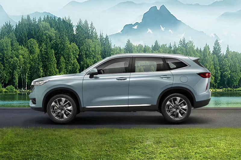 Haval H6 2023: Siêu tiết kiệm xăng, giá cao ngất ngưởng  - Ảnh 3.